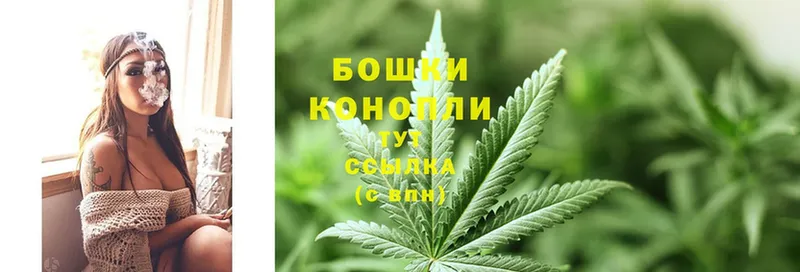 MEGA   Кулебаки  Конопля White Widow 